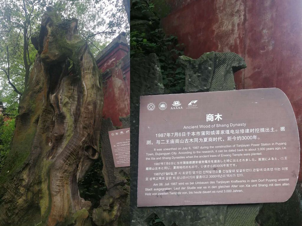 紫薇☆☆音乐频道的图片