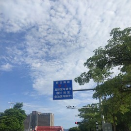 喵喵。卟哭主播照片