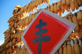 拾月★October主播照片
