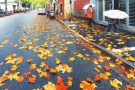【往事不回头】主播照片