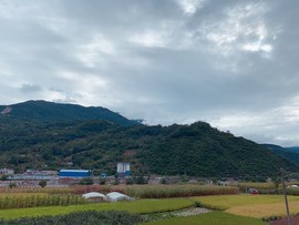 海豚🐬老实唱歌鸭主播照片