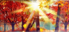 蒙多～主播照片