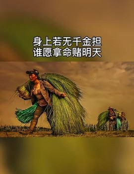 相伴雨梦主播照片