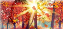蒙多～主播照片