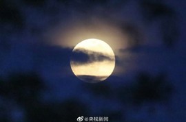 拾月★October主播照片