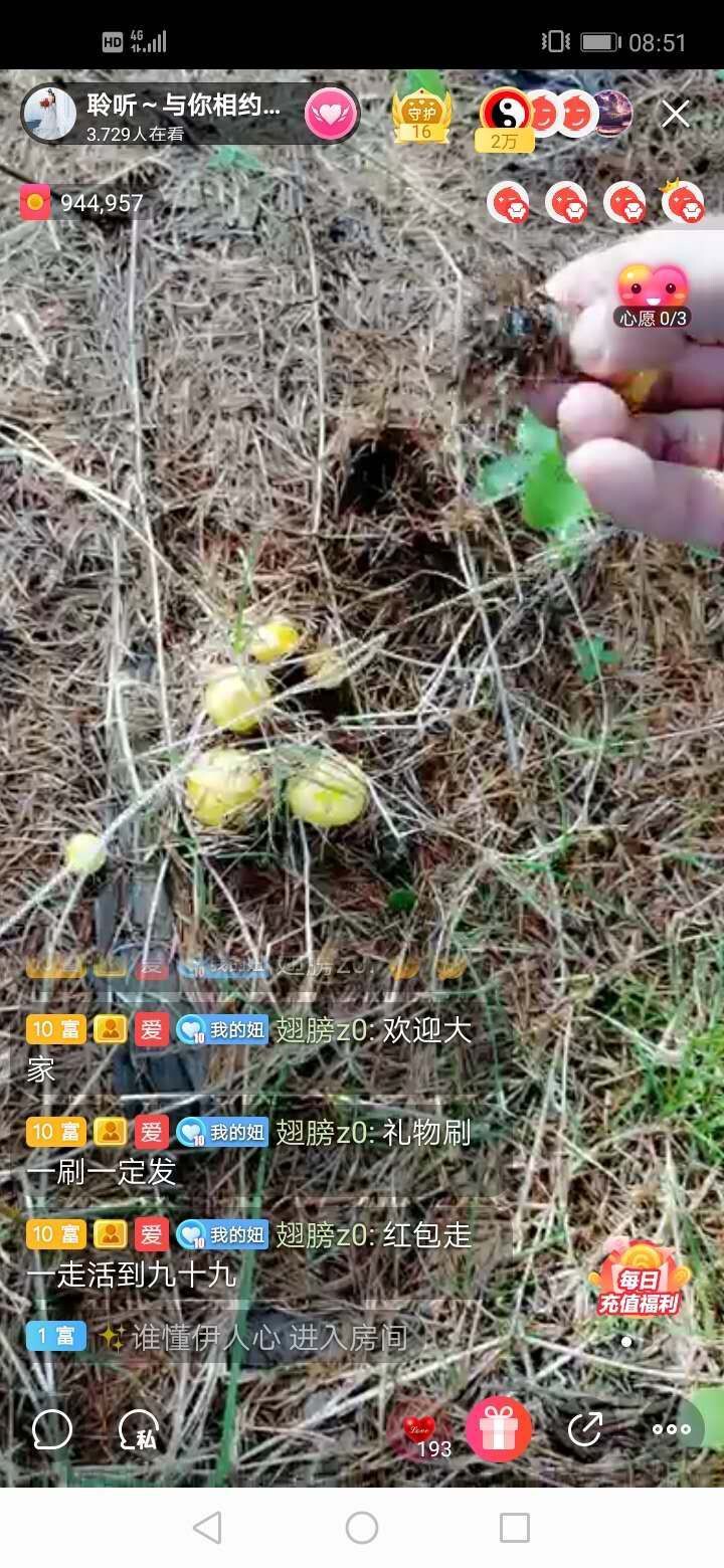 聆听~福妞儿的图片