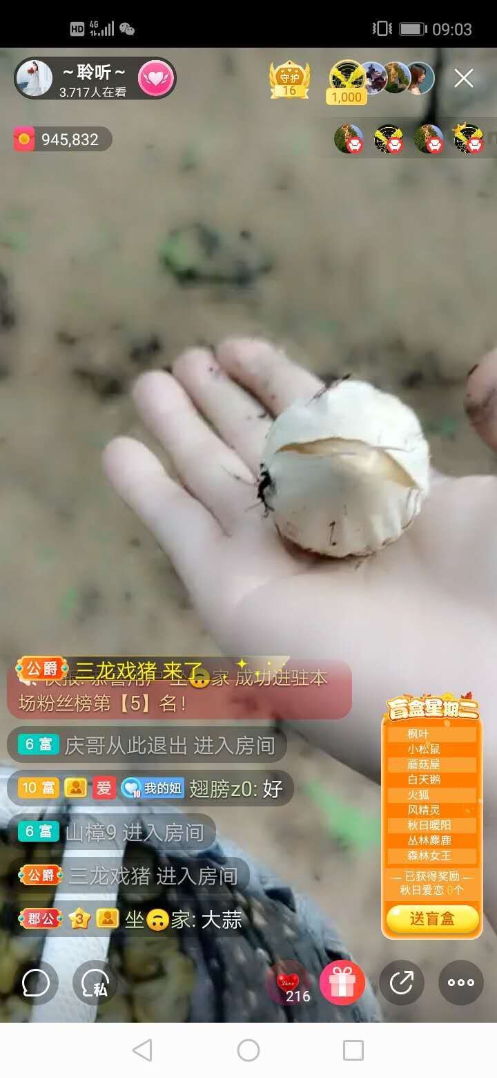 聆听~福妞儿的图片