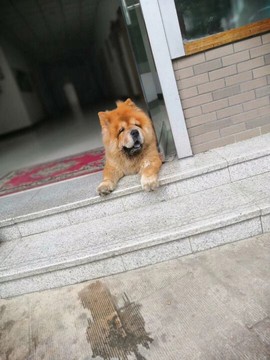 吃货🐽猪猪^O^主播照片