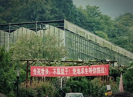 旺旺女孩☞主播照片
