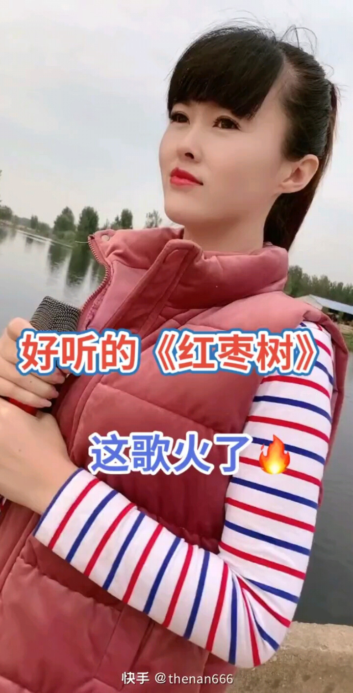 红枣树