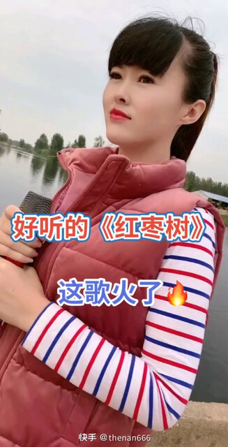 红枣树