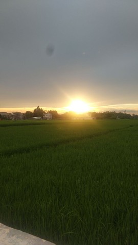 乡村农夫→的图片