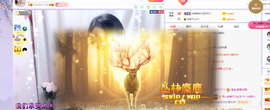 🎶柒歌24号生日会主播照片