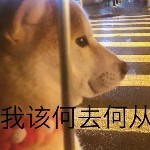狸大大海报