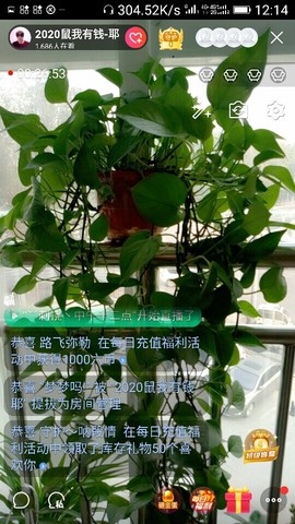 千容女郎主播照片