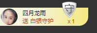 海鸽晚上见主播照片