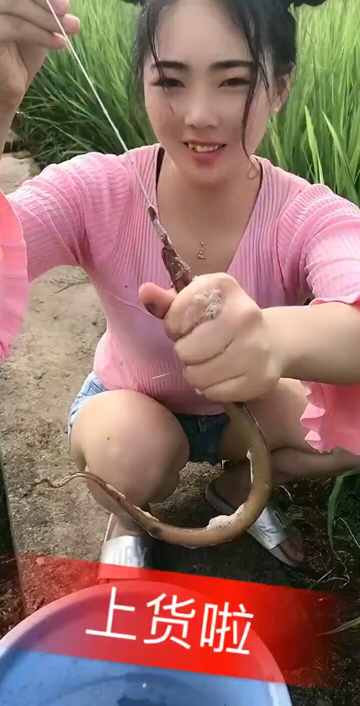 上钩了