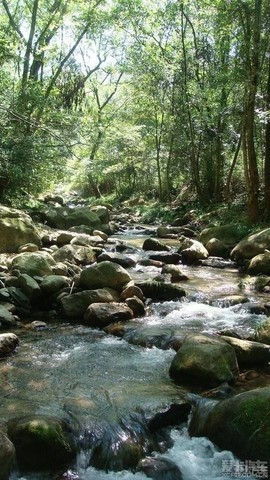 左手天都白🍻的图片