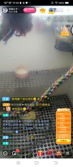 有尔存焉★得尔我幸主播照片