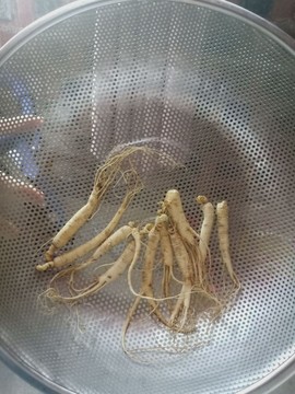 花间🌸香朵主播照片