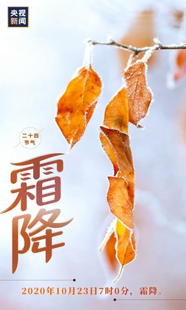 拾月★October主播照片
