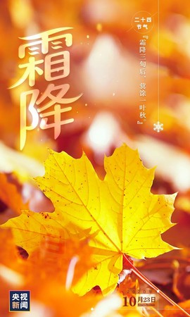 拾月★October主播照片