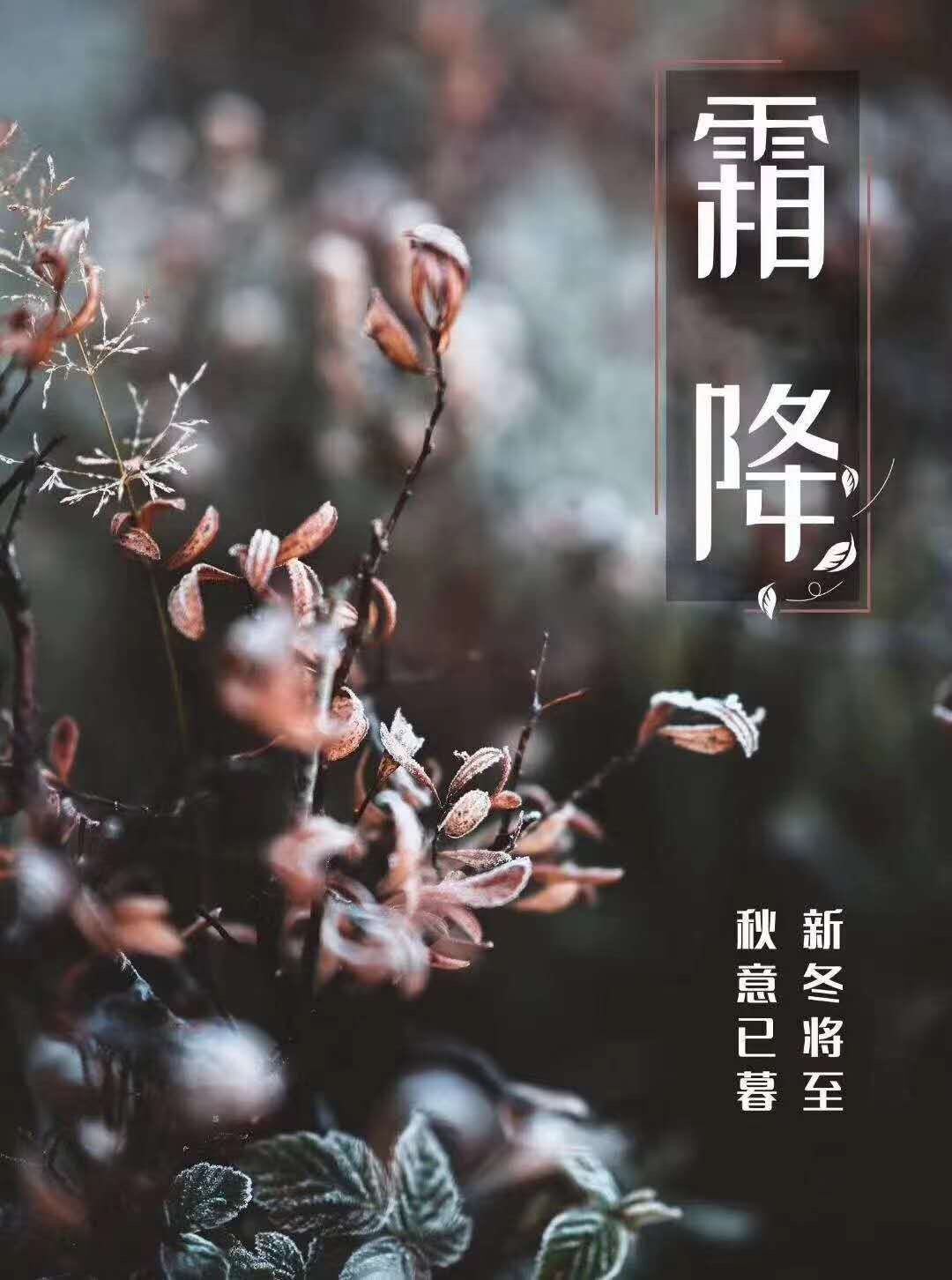紫薇☆☆音乐频道的图片