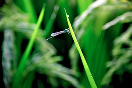 拾月★October主播照片