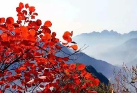 დ释怀დ主播照片