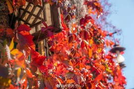 拾月★October主播照片