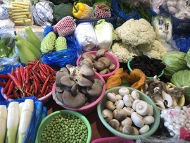 小海屯🐬李主播照片