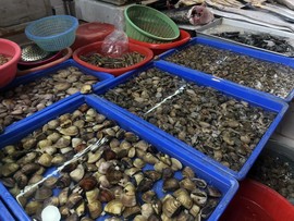 小海屯🐬李主播照片