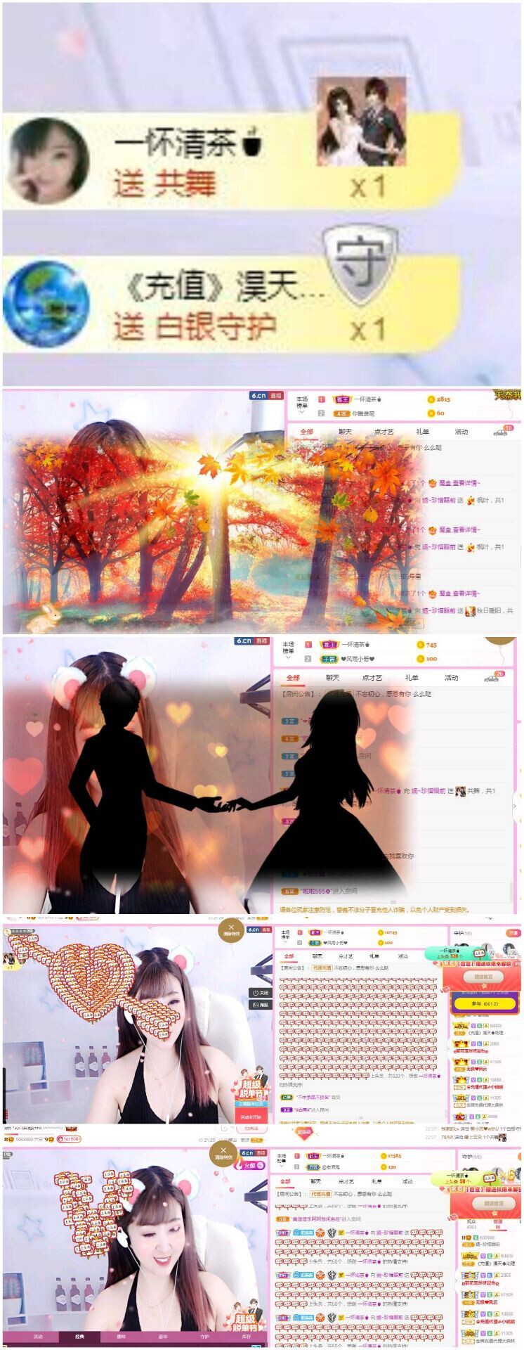 一只雁~的图片