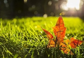 拾月★October主播照片
