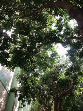新人-时柒求关注主播照片