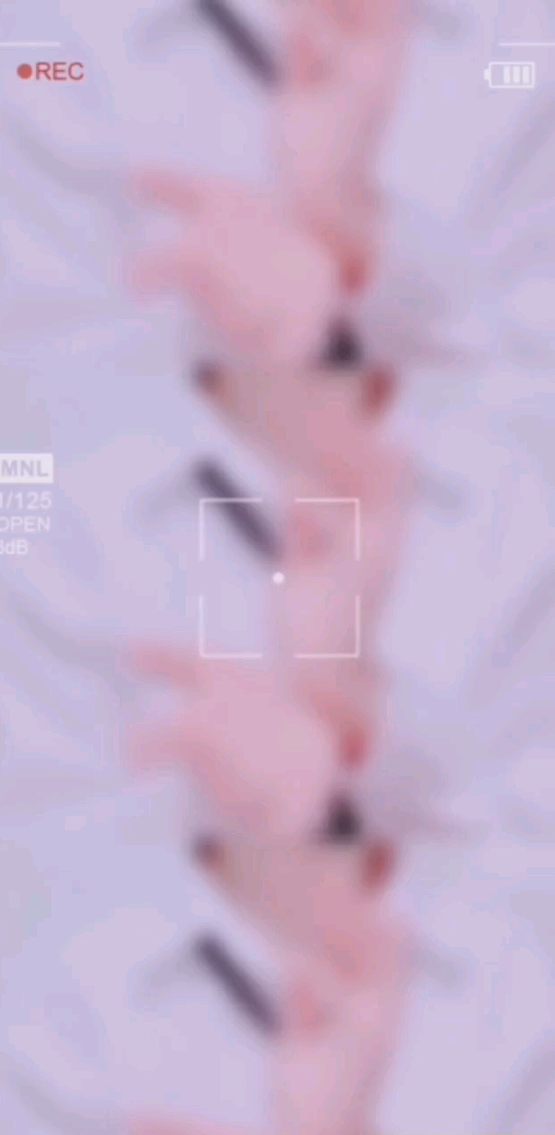 秋天太可爱了呀，秋风
