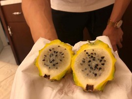 小雅代理ღ好运来主播照片