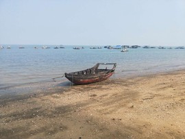 今日上上签主播照片