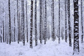 超持久“桑拿天”来了主播照片