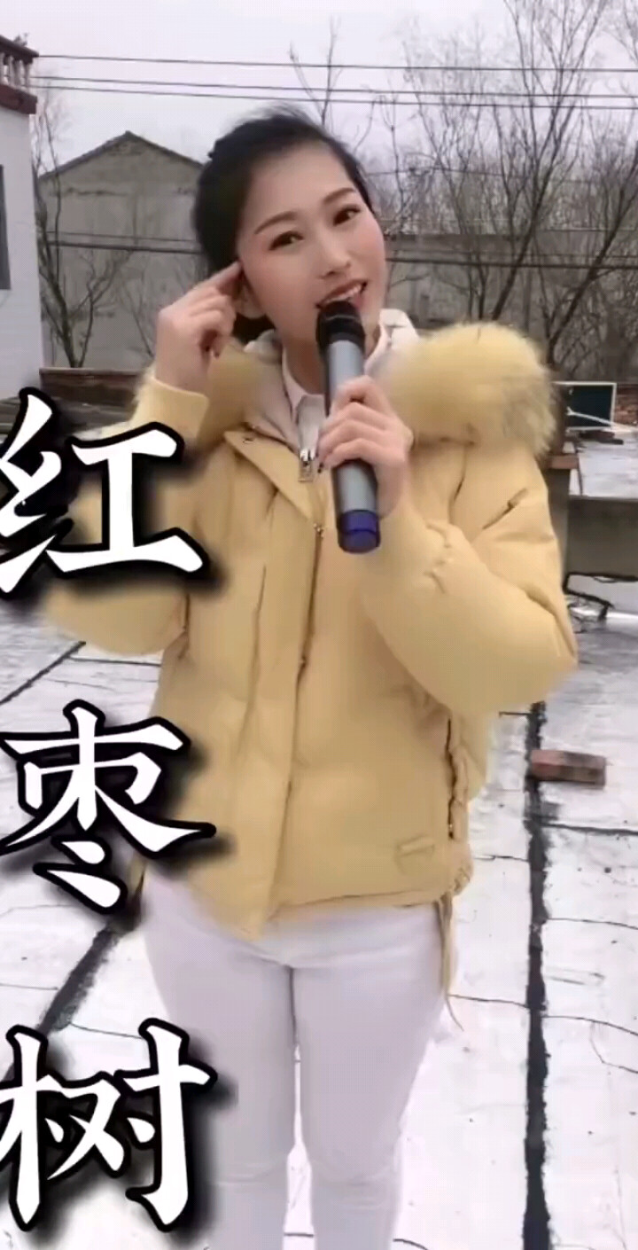 红枣树