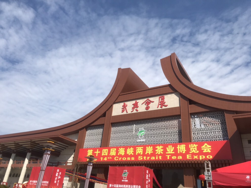 茶茶幸运星的图片