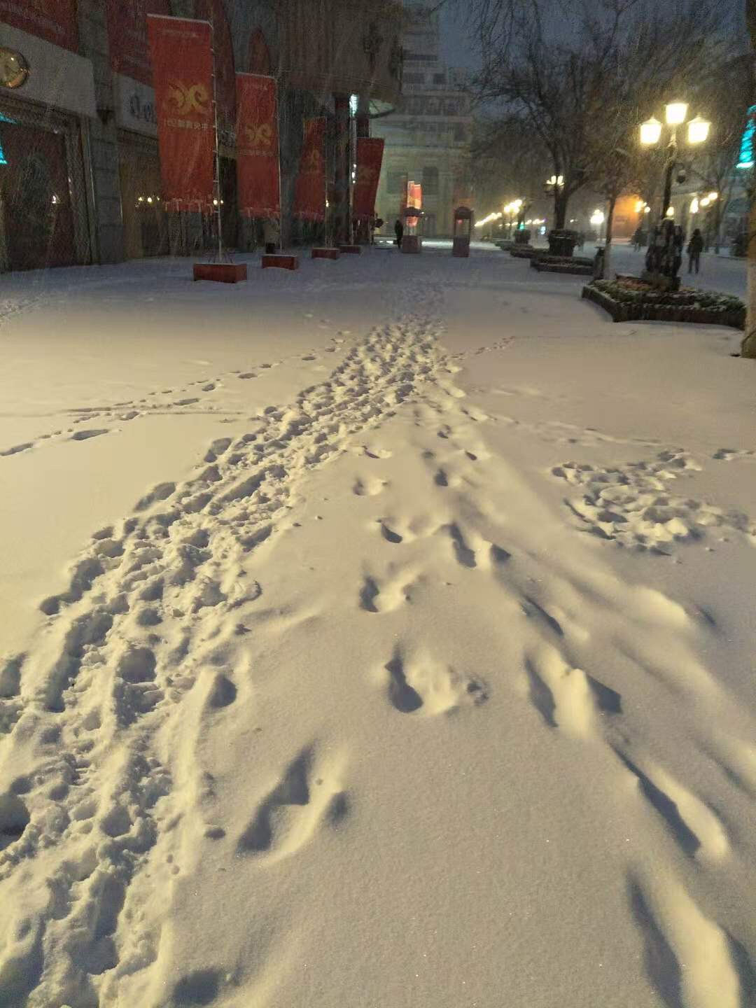 苏甜he的图片