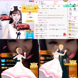 一只雁~主播照片