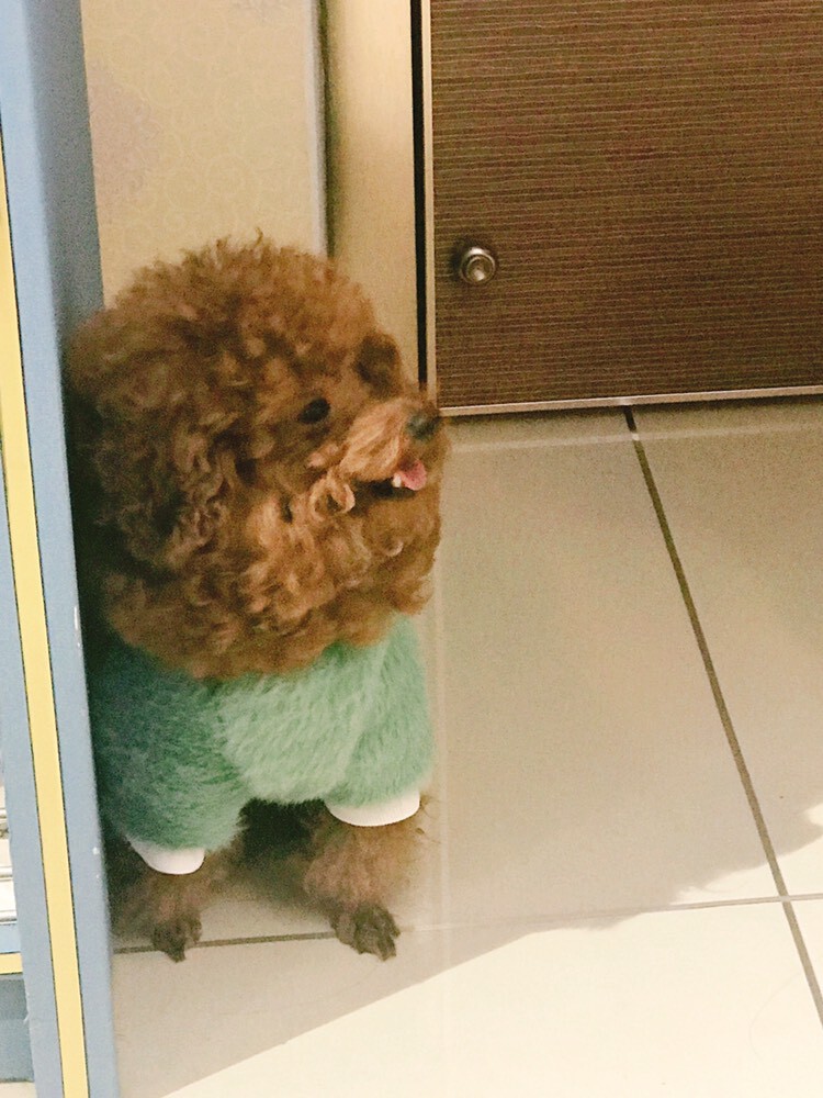 💞天宝💞💃🎤的图片