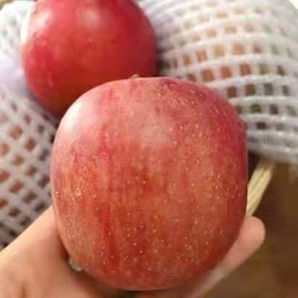 一秒钟の记忆主播照片