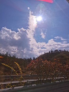 夏至🌸主播照片