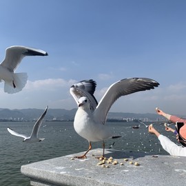 参会人数主播照片