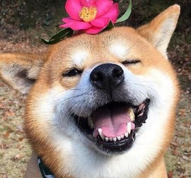 心动ぐつ媚儿的图片