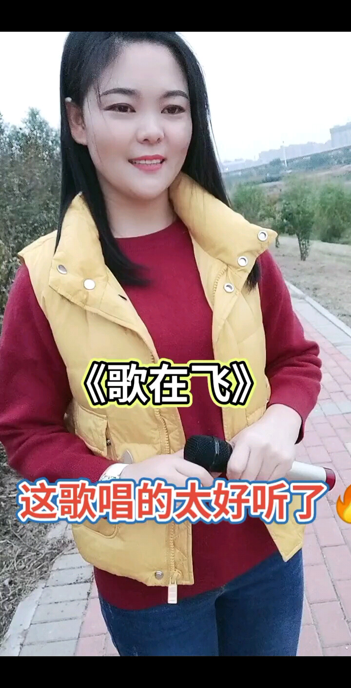 歌在飞