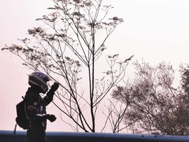 （范小雨）-雨你征戰主播照片